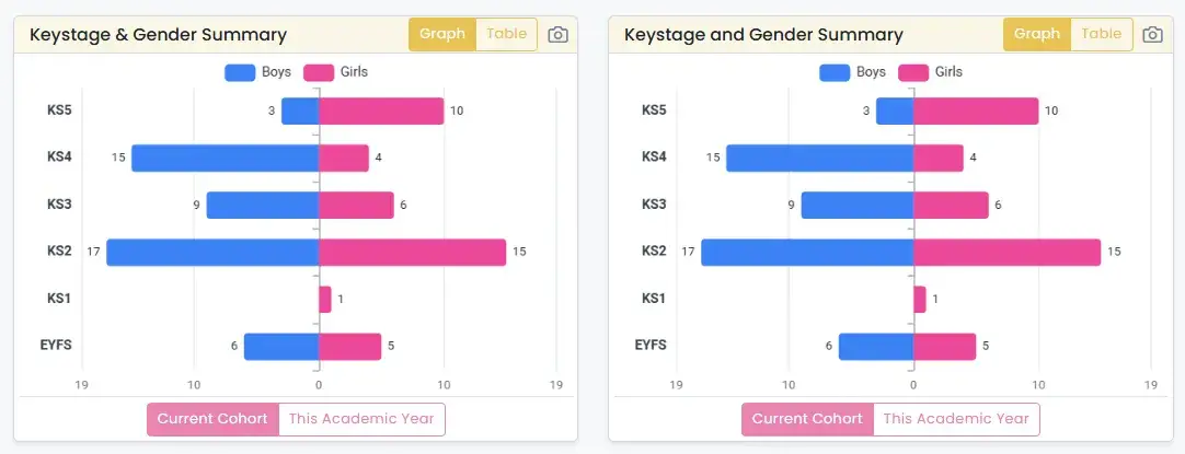 Key stage and gender summary
